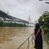 ขายที่ดิน 1ไร่ บางกระเจ้า ติดแม่น้ำเจ้าพระยา ตลาดน้ำบางน้ำผึ้ง 98 ซ.เพชรหึงษ์26 บัวผึ้งพัฒนา ติดต่อ/line 0619419639