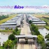 BIGGERLAND PHASE 4 – คลอง 8 โรงงานพร้อมออฟฟิศมาตรฐานอุตสาหกรรม บนทำเลสีม่วงเข้ม! โทร. 099-261-2555